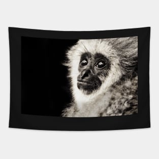 Monkey : Monochromatic | Black and White Series Tapestry