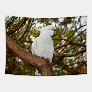 Cockatoo Posing Tapestry