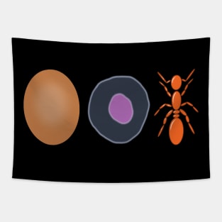 egg cell ant Tapestry