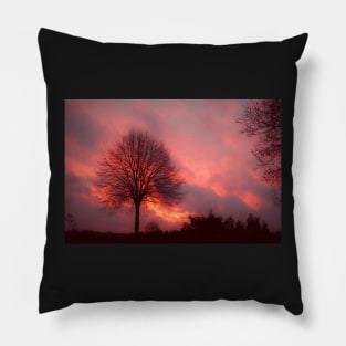 Morning glow Pillow