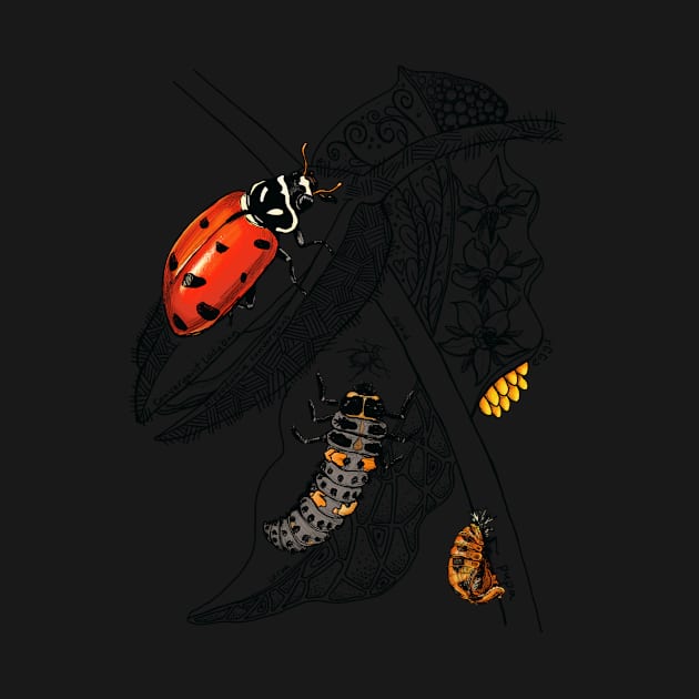 Lady Bug Life-Cycle Doodle by mernstw