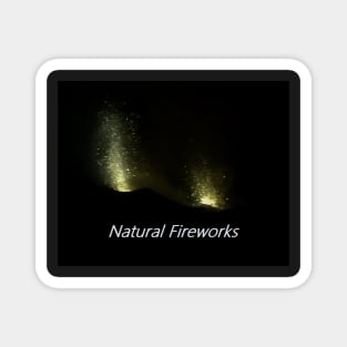 Natural Fireworks by Suzy Hager Magnet