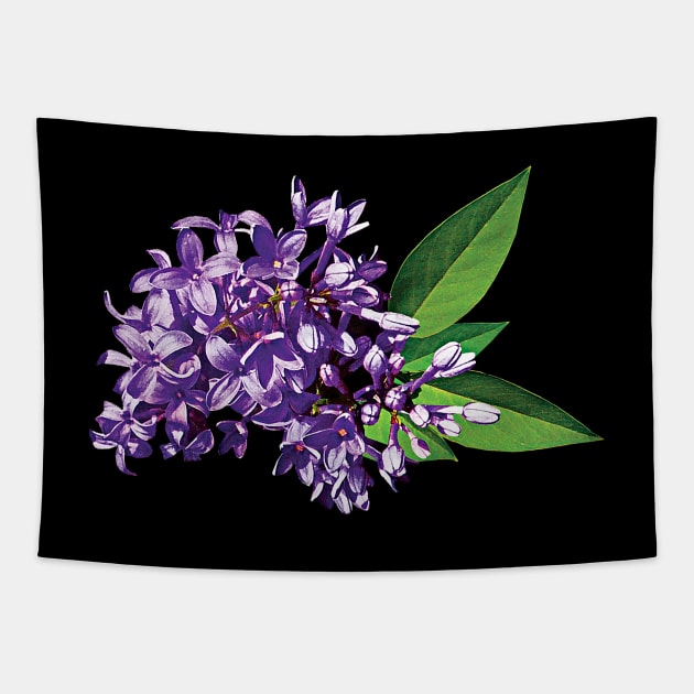 Lilacs - Cluster of Purple Lilacs Tapestry by SusanSavad