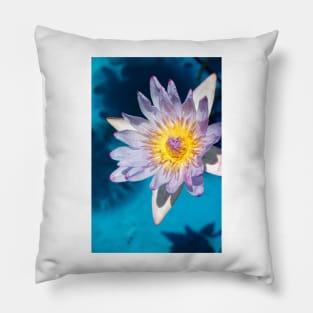 Water Lily Pillow