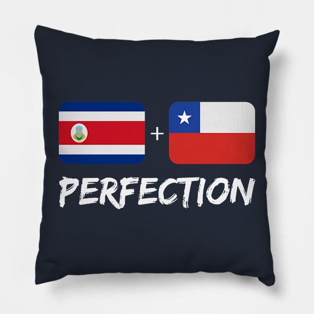 Chilean Plus Costa Rican Perfection Heritage Pillow by Just Rep It!!