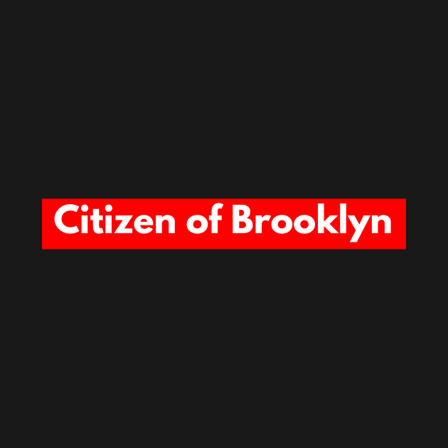 Citizen of Brooklyn by mike11209