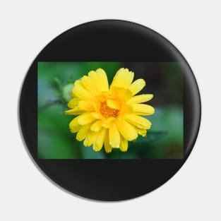 Yellow garden flower with dew drops facemask Pin