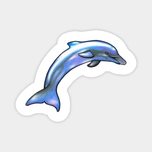 Dolphin Magnet