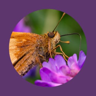 Beautiful Skipper Butterfly Photograph T-Shirt