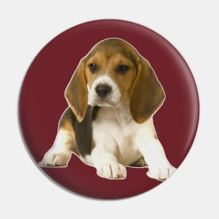 Puppy Pin