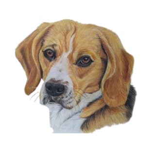 Beagle Dog T-Shirt