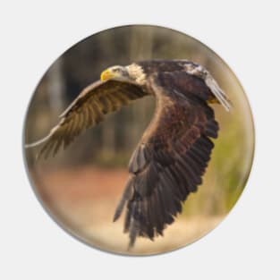 Bald Eagle in Flight Pin