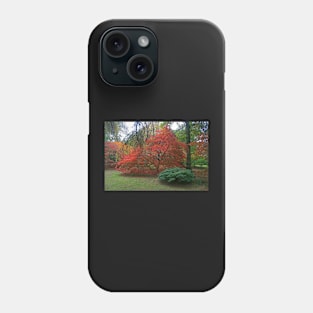 Autumn Colours 2014 Phone Case