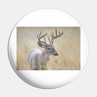 In Fields of Gold - White-tailed buck Pin