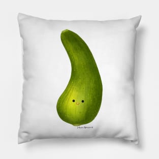 zucchini Pillow