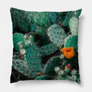 Cactus Pillow