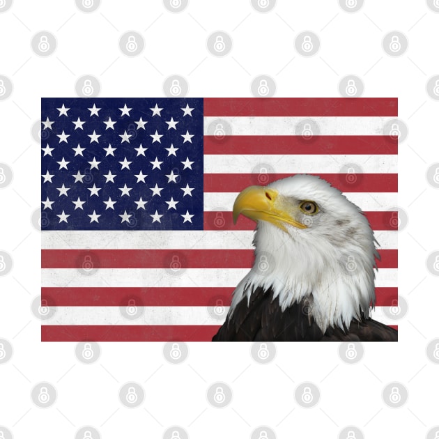 Patriotic Eagle on American Flag by Roly Poly Roundabout