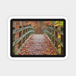 Bridge to Fall - Rock Creek Park Magnet