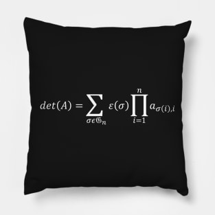 Definition Of The Determinant - Math And Linear Algebra Pillow