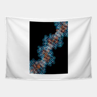 Computer artwork of a segment of beta DNA (G110/0486) Tapestry