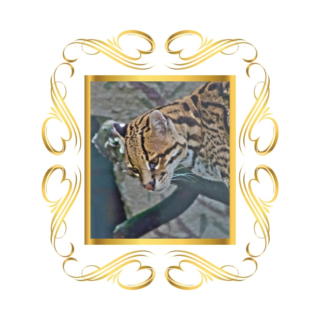 Ocelot Framed by Bethany-Bailey