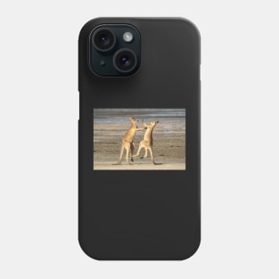 Boxing Kangaroos, Toorbul, Queensland Phone Case