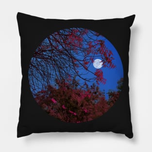 Moon Light and The Tree Pillow