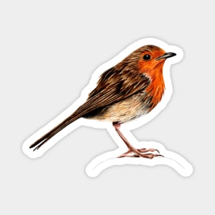 European robin ink and watercolour Magnet