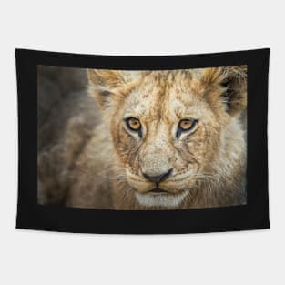 Lion Cub Tapestry