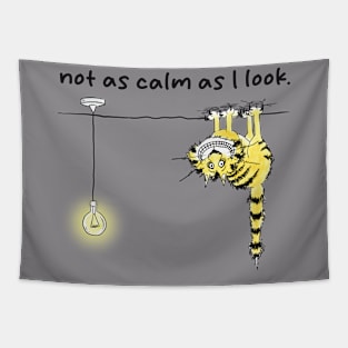 I'm Not As Calm As I Look Tapestry