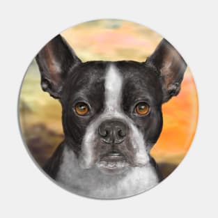 Painting of a Black and White Boston Terrier, with Orange Background Pin