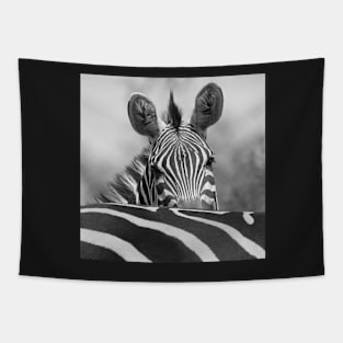 Zebra in Black and White Tapestry