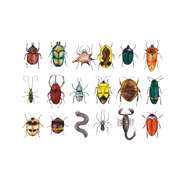 Further Entomology Illustrations by djrbennett