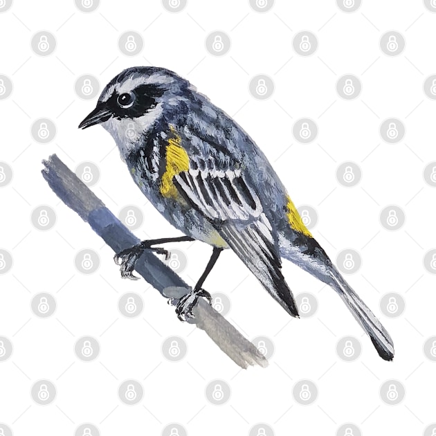 Yellow Rumped Warbler painting (no background) by EmilyBickell