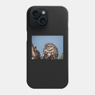 Little owl perched on at tree trunk Phone Case