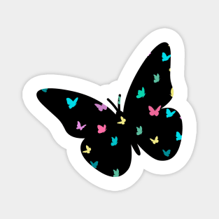Mariposas de colores Magnet
