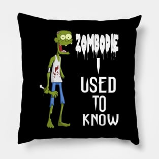 Zombodie I used to know Pillow