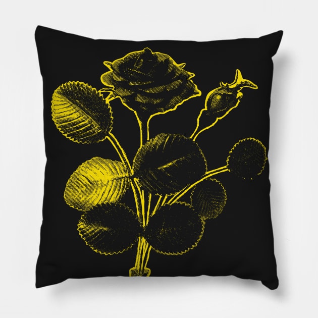 Rosa de Pelagio Black Rose Yellow Outline Image Pillow by pelagio