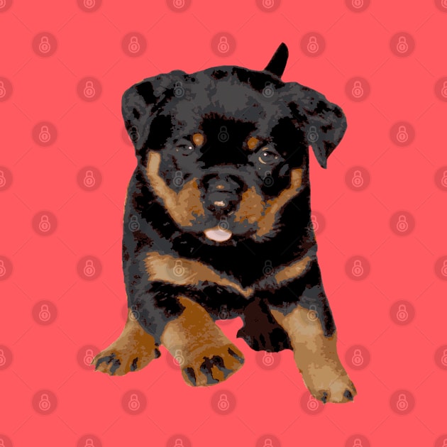 Cute Rottweiler Puppy Running With Tongue Out by taiche