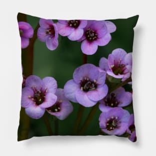 Purple flowers in bloom Pillow