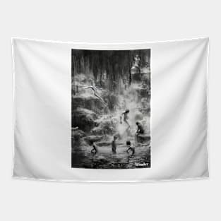 Fountain of youth collection Tapestry