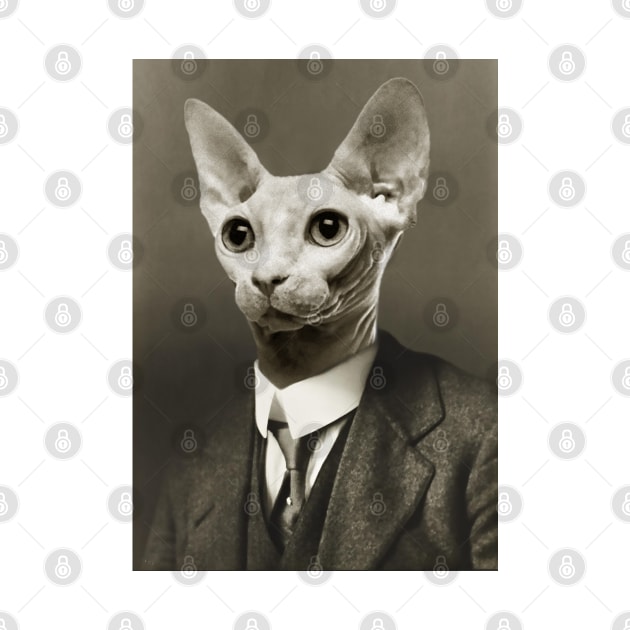 Gentleman Sphynx Cat - Pet Gift by luigitarini