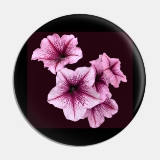 Pink Petunia Flowers Pin