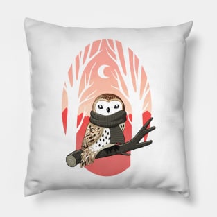 Winter Owl Pillow