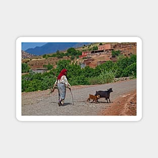 Morocco. Village scene. Magnet