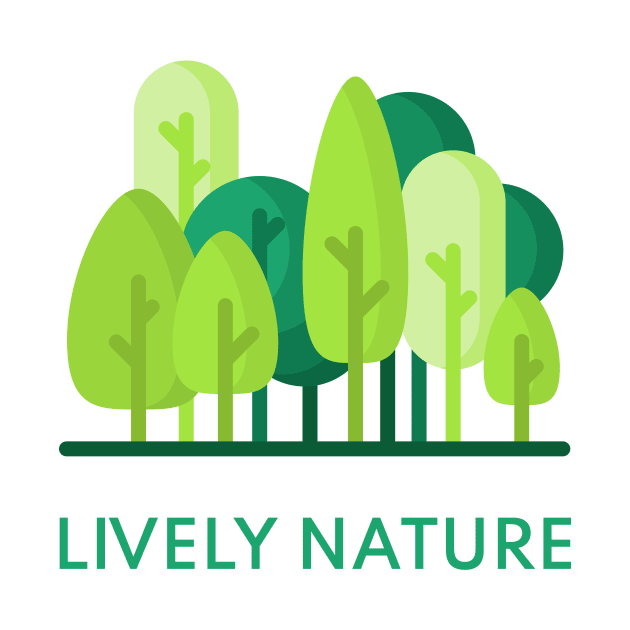 LIVELY NATURE FOREST by Lively Nature