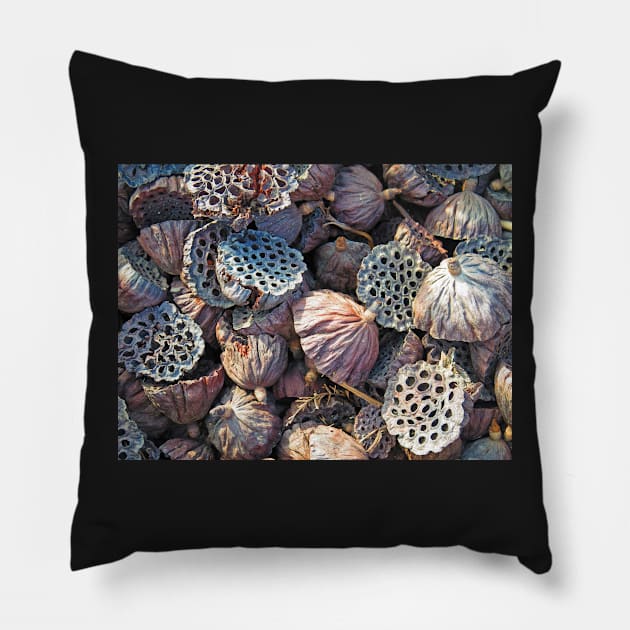 Dried Seed Pods Pillow by EileenMcVey