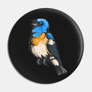 Lazuli Bunting Pin