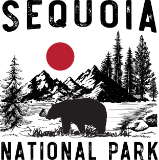 Vintage Sequoia National Park California Black Bear Souvenir Magnet