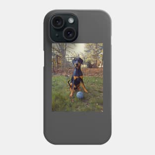 Lets Play Ball Phone Case